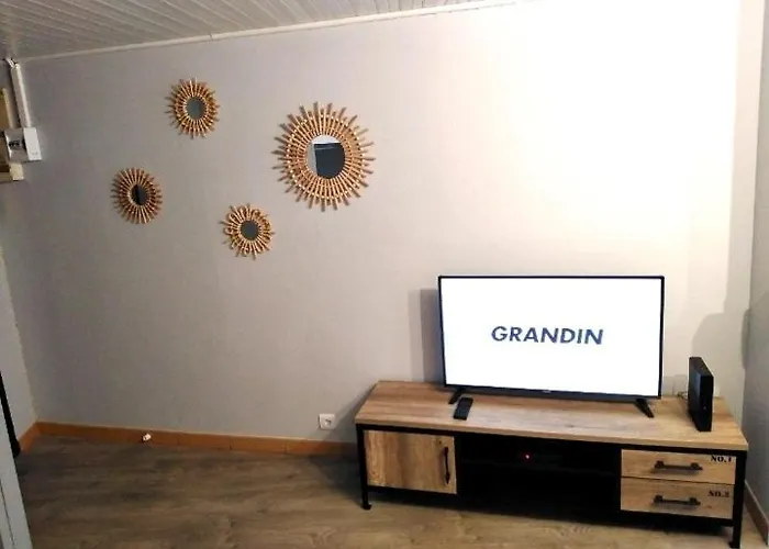 T2 Bis Quartier Chateau De *